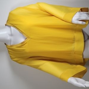 Zara sheer drop sleeve blouse